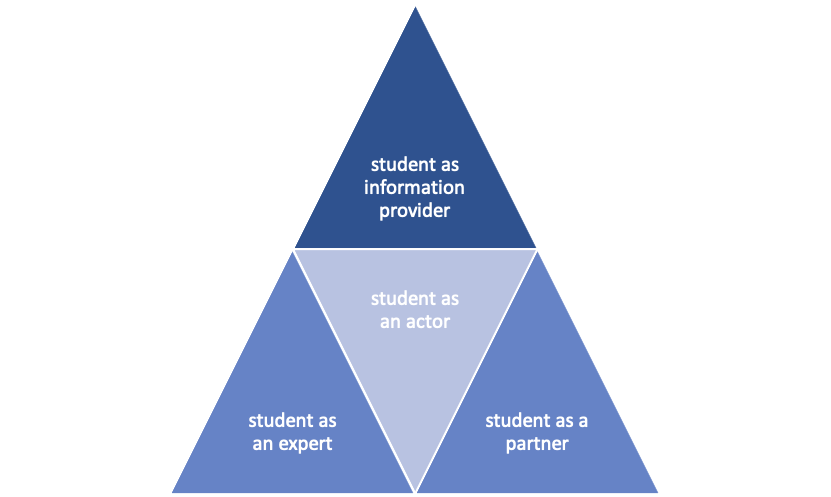 students roles in qa 